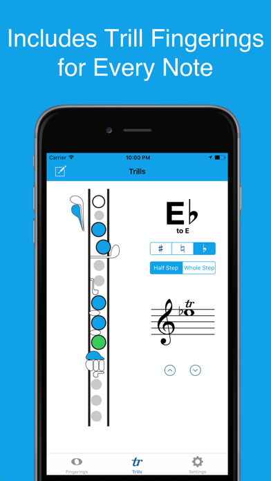 Gizmo - Flute Fingerings screenshot 4