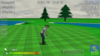GL Golf Lite screenshot 1
