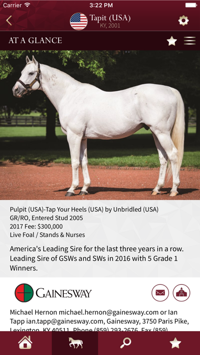 Global Stallions screenshot 5