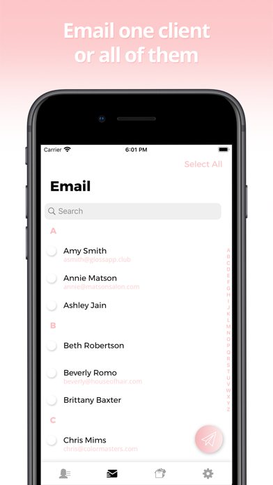 Gloss: Save Formulas & Clients screenshot 2