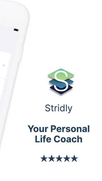 Goal Setting AI: Stridly screenshot 6