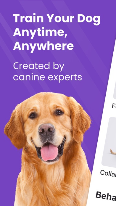 GoDog: Puppy & Dog Training screenshot 10