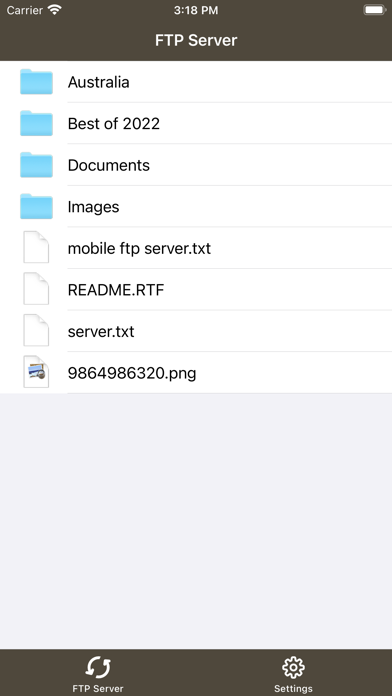 GoFTP Server screenshot 2