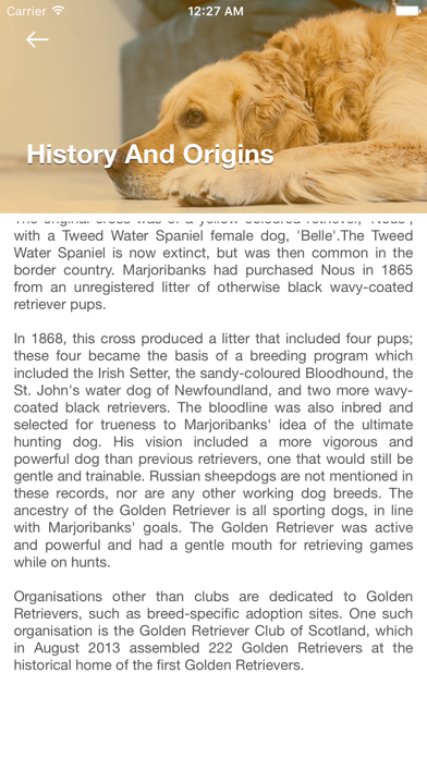 Golden Retriever: Dog Breed Guide screenshot 1