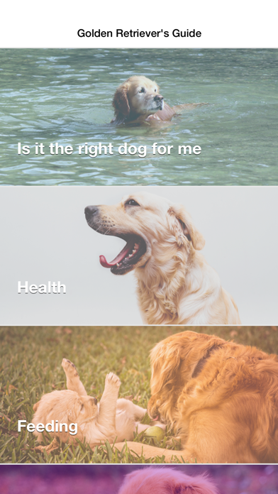 Golden Retriever: Dog Breed Guide screenshot 3