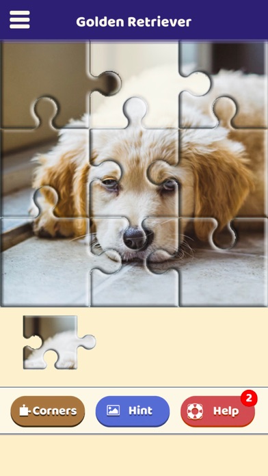 Golden Retriever Puzzle screenshot 5