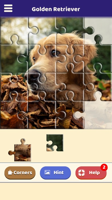 Golden Retriever Puzzle screenshot 4
