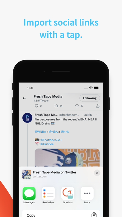 Gondola: Social Credits screenshot 1