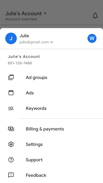 Google Ads screenshot 1