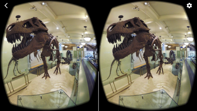 Google Cardboard screenshot 2