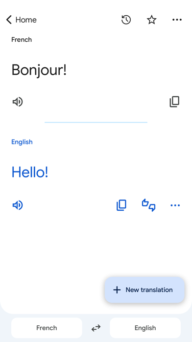 Google Translate screenshot 4