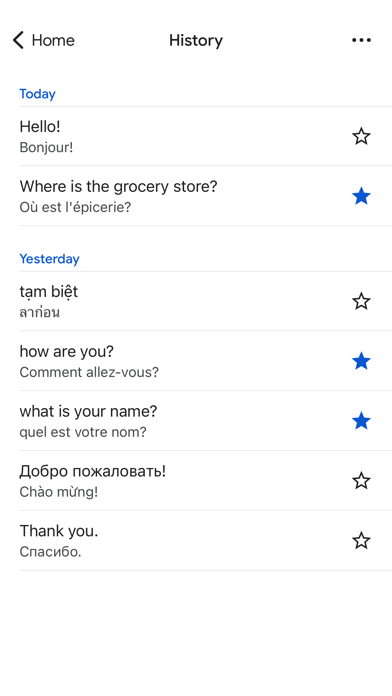 Google Translate screenshot 2