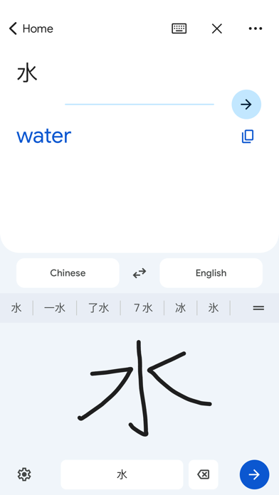 Google Translate screenshot 3