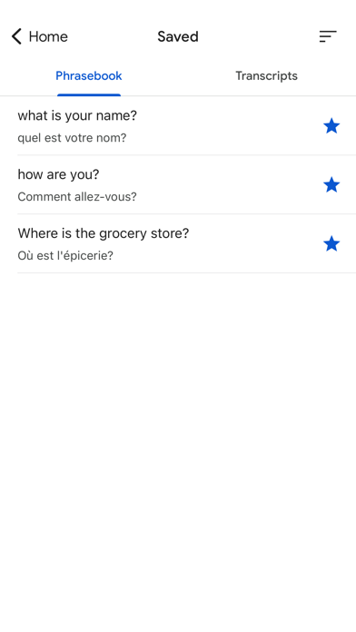 Google Translate screenshot 1
