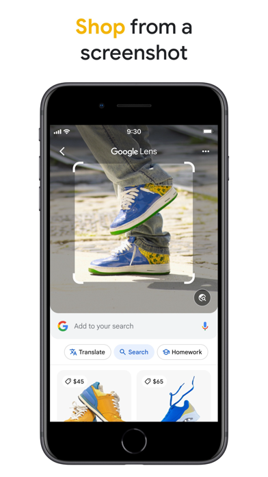 Google screenshot 6