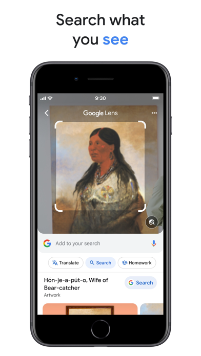 Google screenshot 2