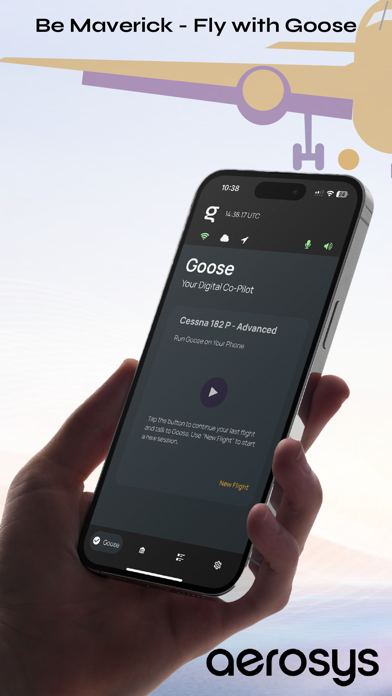 Goose, Your Digital Co-Pilot screenshot 3