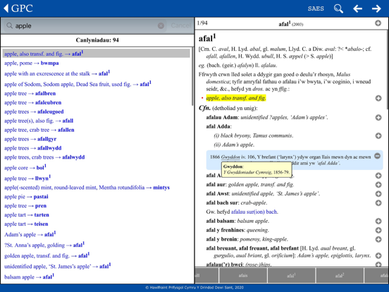 GPC Geiriadur Welsh Dictionary screenshot 9