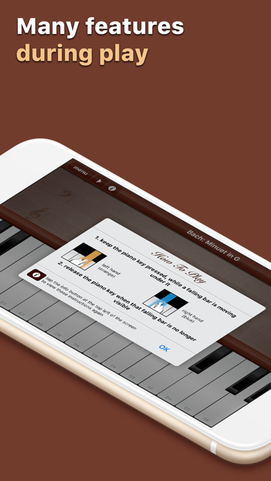 Grand Piano Keyboard&Metronome screenshot 2