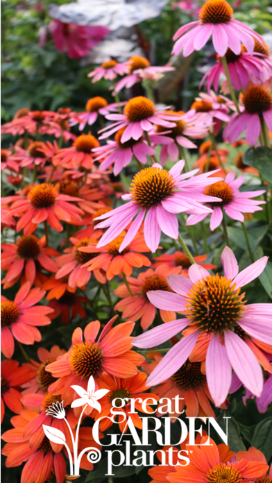 Great Garden Plants screenshot 6