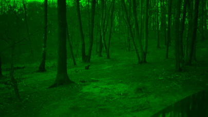 Green Night - Night Vision App screenshot 1