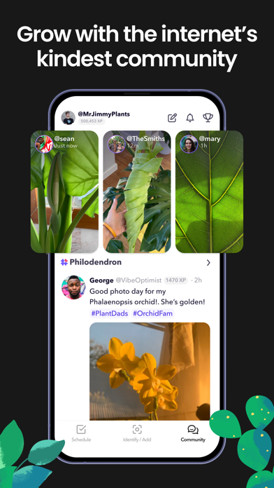 Greg: Plant Identifier & Care screenshot 4