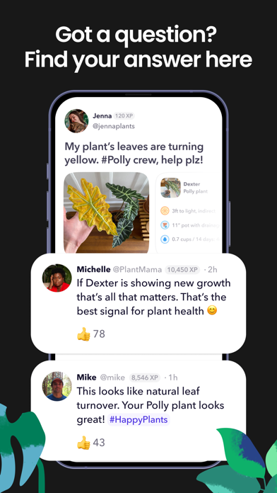 Greg: Plant Identifier & Care screenshot 5