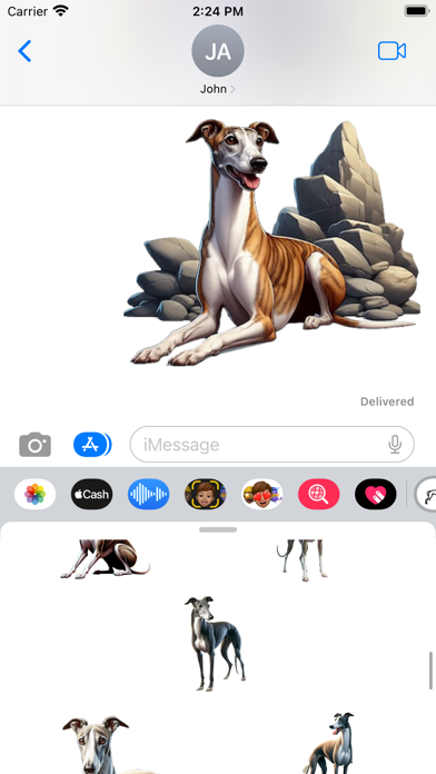 Greyhound Stickers screenshot 1