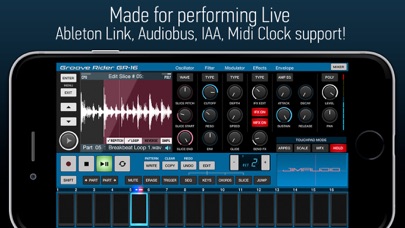 Groove Rider GR-16 screenshot 1