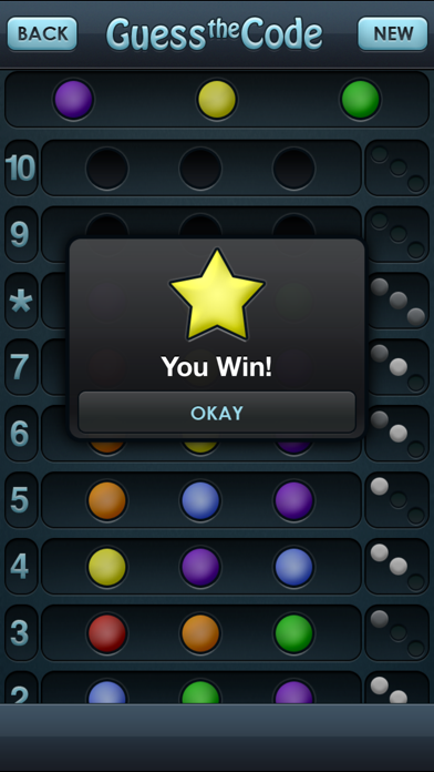 Guess the Code! screenshot 4