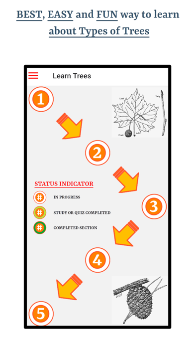 Guess Trees From Leaves screenshot 6