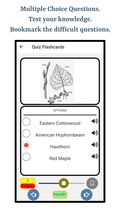 Guess Trees From Leaves screenshot 4