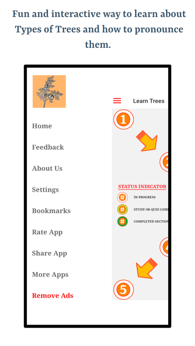 Guess Trees From Leaves screenshot 1