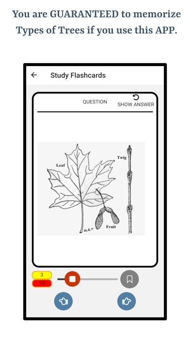 Guess Trees From Leaves screenshot 2
