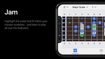 Guitar Scale Finder Tool screenshot 3