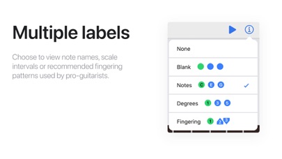 Guitar Scale Finder Tool screenshot 2