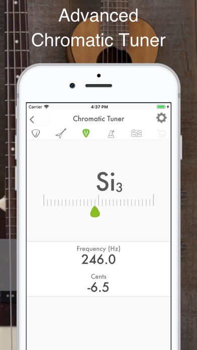 Guitar Tuner: Bass and Ukulele screenshot 4