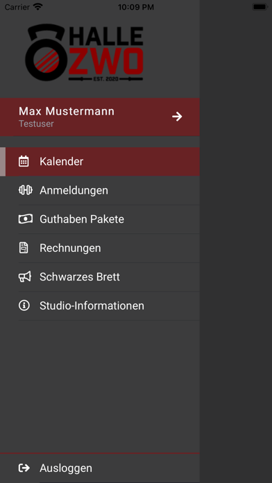 Halle-Zwo screenshot 2