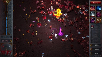 Halls of Torment: Premium screenshot 1