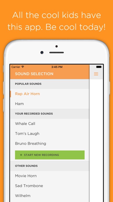 Ham Horn screenshot 1