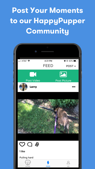 HappyPupper Dog Walker Tracker screenshot 1