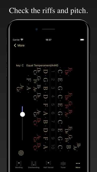 Harmonica Bending Trainer screenshot 4