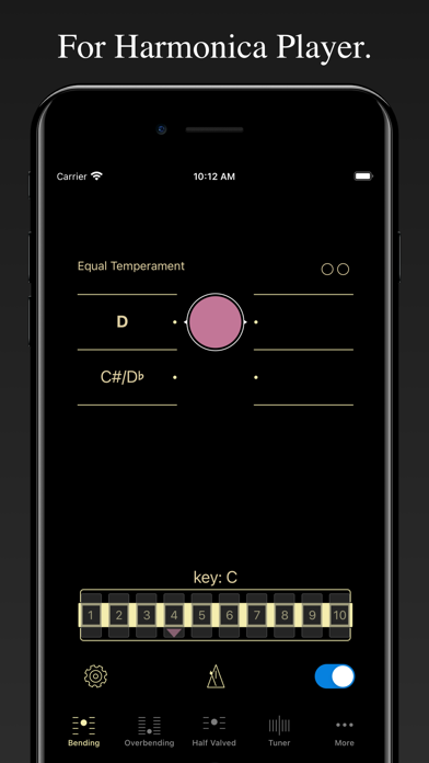 Harmonica Bending Trainer screenshot 7