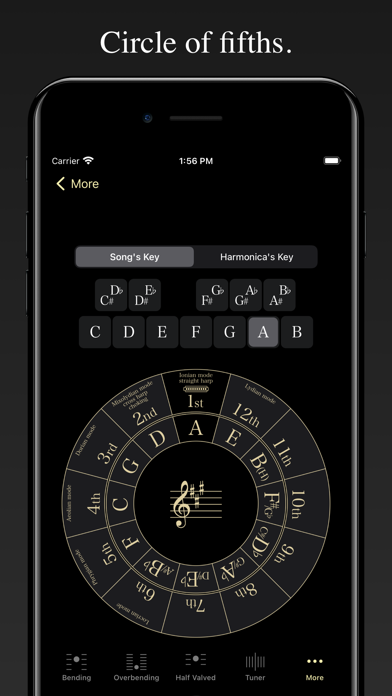 Harmonica Bending Trainer screenshot 1