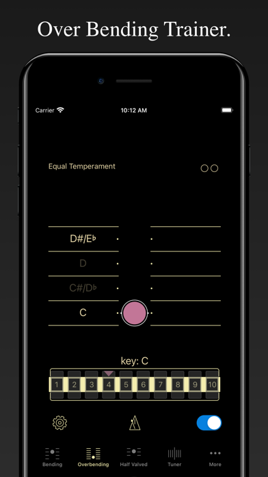 Harmonica Bending Trainer screenshot 6