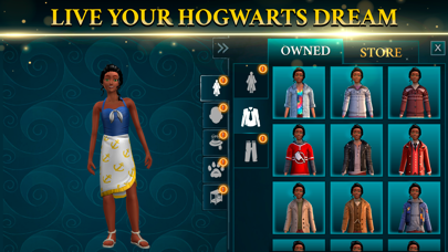 Harry Potter: Hogwarts Mystery screenshot 4