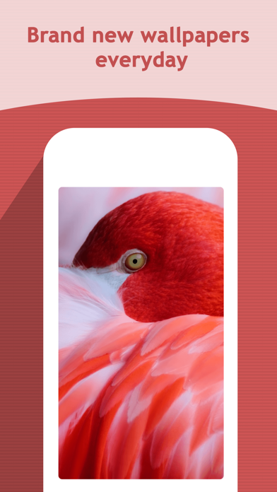 HD Wallpapers Backgrounds screenshot 4