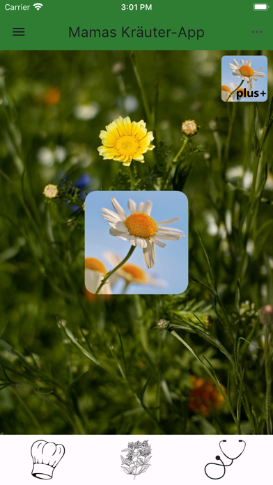 Heilkräuter / Mamas KräuterApp screenshot 4
