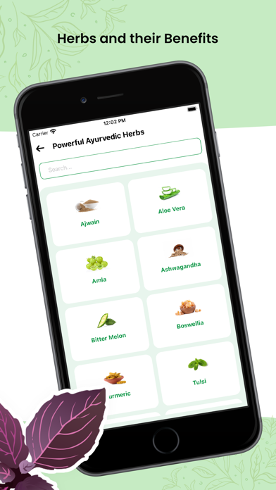 Herbal Natural Care - Ayurveda screenshot 4
