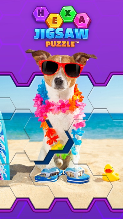 Hexa Jigsaw Puzzle ® screenshot 2